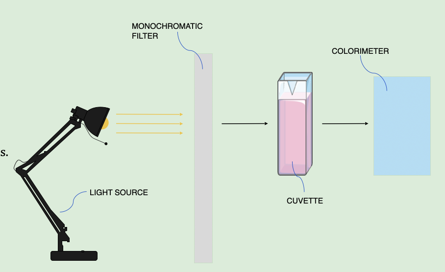 <ol><li><p>conc</p></li><li><p>absorbance</p></li><li><p>conc</p></li></ol><p></p>
