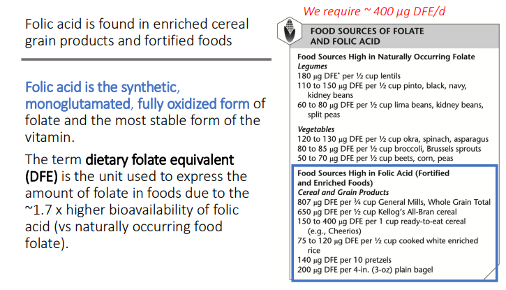 <p>~ 400 µg DFE/d</p>
