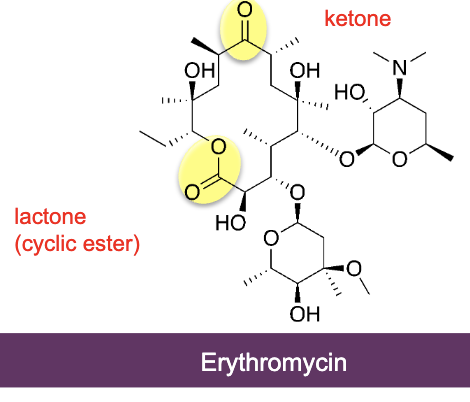 <ul><li><p>Erythromycin isolated from Streptomyces erythreus</p></li><li><p>Inhibit translocation by binding to 50s subunit of ribosome</p></li><li><p>Class has >40 compounds</p></li><li><p><mark data-color="yellow" style="background-color: yellow; color: inherit;">broad spectrum of action </mark>resembles that of <mark data-color="yellow" style="background-color: yellow; color: inherit;">penicillin </mark>(G+ cocci and bacilli, G- cocci) but also mycoplasma. <mark data-color="yellow" style="background-color: yellow; color: inherit;">Not active on G- bacilli</mark></p></li><li><p>many <mark data-color="yellow" style="background-color: yellow; color: inherit;">6-member rings</mark>, macro rings, <mark data-color="yellow" style="background-color: yellow; color: inherit;">ketone and lactone</mark> function</p></li></ul><p></p>