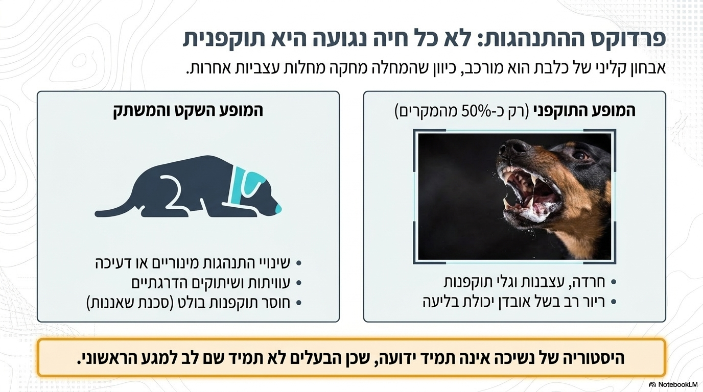 <ul><li><p><strong>קושי באבחון התנהגותי:</strong> <strong>רק כ-50% מהכלבים או החתולים הנגועים מציגים התנהגות אגרסיבית</strong> (כפי שראינו, ישנם סימנים עצביים שקטים או שיתוקיים).</p></li><li><p><strong>דמיון למחלות אחרות:</strong> ישנן מחלות עצביות רבות שמראות סימנים דומים מאוד.</p></li><li><p><strong>מגבלת האבחון:</strong> אבחון סופי של כלבת מתאפשר אך ורק על רקמת המוח <strong>לאחר המוות</strong>.</p></li><li><p><strong>ההנחיה הקלינית:</strong> בשל הסיכון לחיי אדם והיעדר כלי אבחון בחיה חיה, כל חיה החשודה כחולה צריכה לעבור מיד <strong>הסגר או המתה</strong></p></li></ul><p></p>