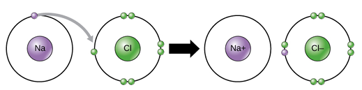 <p>ionic bond</p>