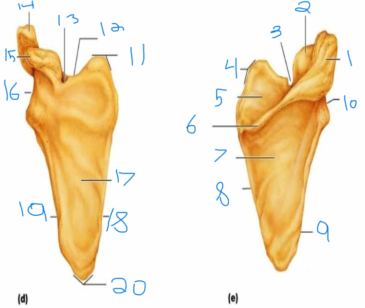 <p>What is 9</p>