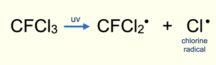 <p>The uv radiation causes a carbon chlorine bond to break,  this is called photodissociation, this is homolytic fission and produces a chlorine radical, highly reactive.</p><p></p>