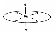 <p>Fe containing porphyrins (contain flat haem groups). </p>
