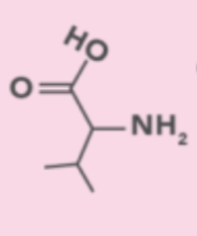 <p>Code: V, Side Chain Group: Non-polar hydrophobic</p>