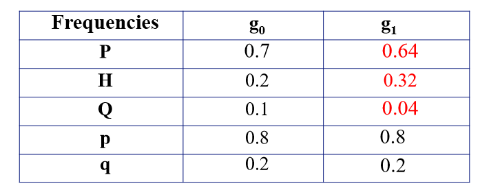 <p>If you compare the genotypic and allelic frequencies in g<sub>0</sub> and g<sub>1</sub> and they are not constant, that means the g<sub>0</sub> population is not in HWE</p><ul><li><p>Only one generation of random mating is required for g<sub>0</sub> population to reach HWE</p></li></ul><p></p>