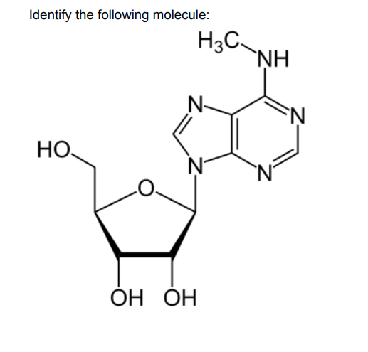 <p>Identify the following molecule:</p>