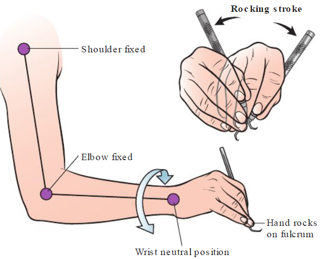 <ul><li><p>Fulcrum finger supports weight of hand</p></li></ul><p></p><p>Throughout procedure: </p><ul><li><p>Fulcrum finger (ring) stays planted</p></li><li><p>Acts as pivot point or brake for each stroke</p></li></ul><p></p><p>Avoid: If instrument tip flies off the tooth after each stroke, fulcrum isn’t used properly. </p><p></p>