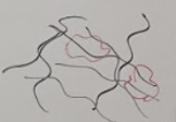 <p>large flocs, high density of stalked ciliates and rotifers </p>