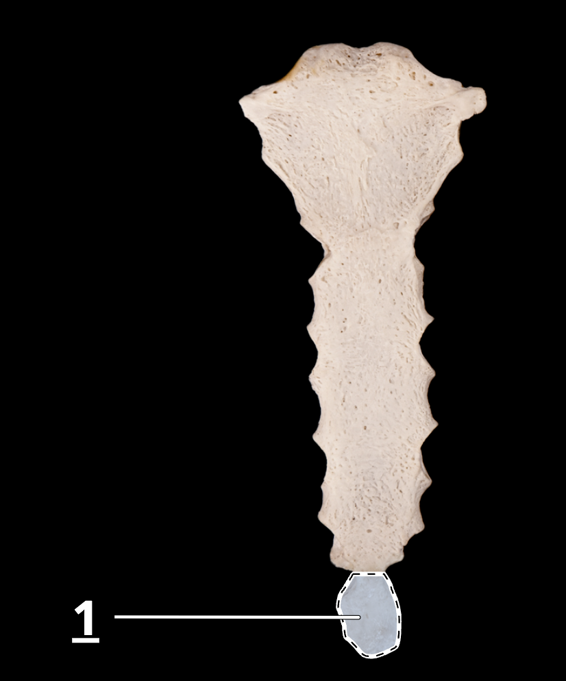 <p>1</p>