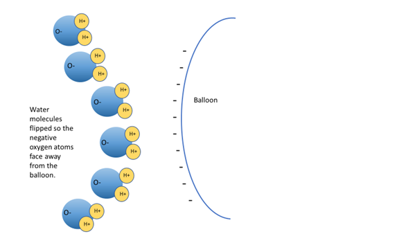 <ul><li><p>the positive side of the water is attracted to the negativly charged balloon. </p></li><li><p>Causes stream to bend towards the balloon. </p></li><li><p>CHAIN: polar→ +/- → interactions→ reorient → water bends</p></li><li><p>BE ABLE TO DRAW</p></li></ul><p></p>