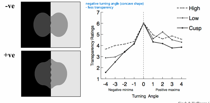 <p>decrease</p><ul><li><p>more complicated</p></li></ul><p>even when local contour continuation is preserved, <strong>negative turning angles</strong> in the boundary of the transparent layer make the whole layer shape less coherent, so transparency is perceived less strongly.</p>