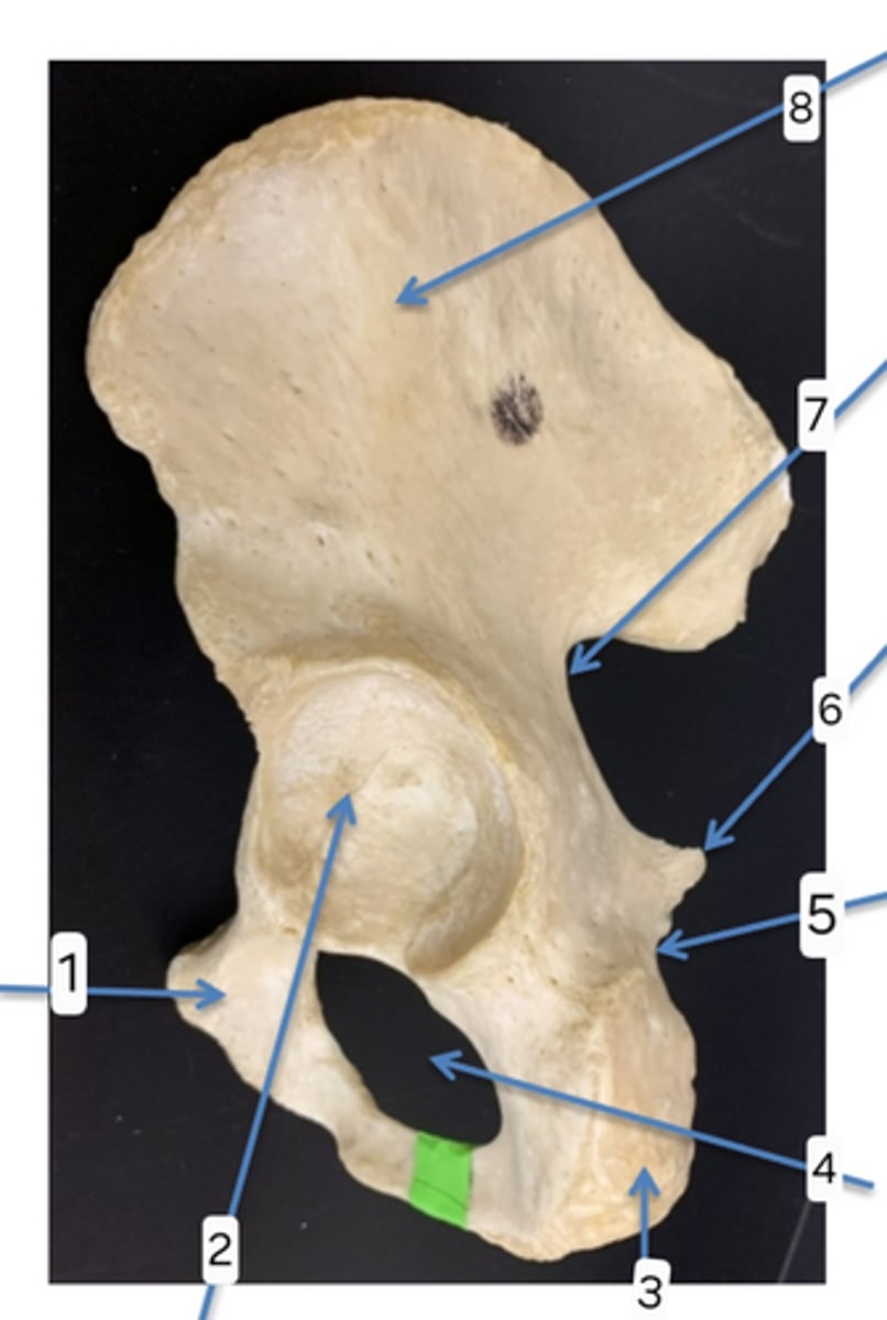 <p>5</p>
