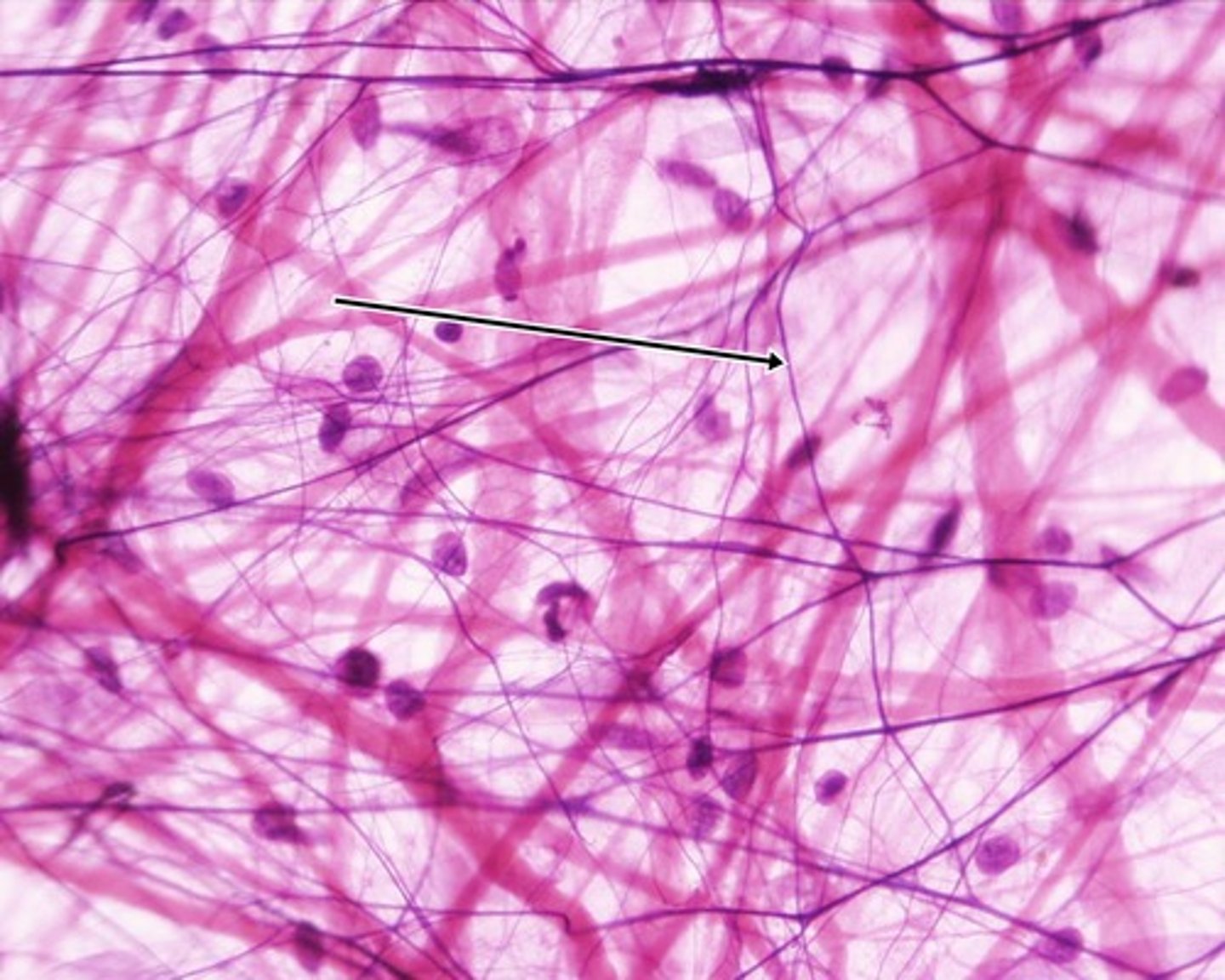 <p>type of structure?</p>