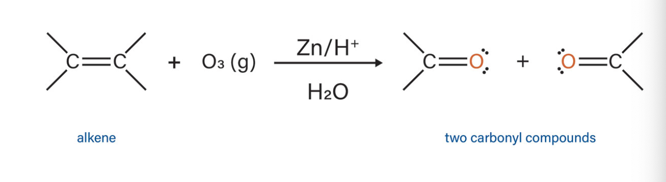 <p>what type of reaction is this? </p>