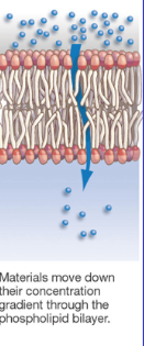 <p>Simple Diffusion</p>