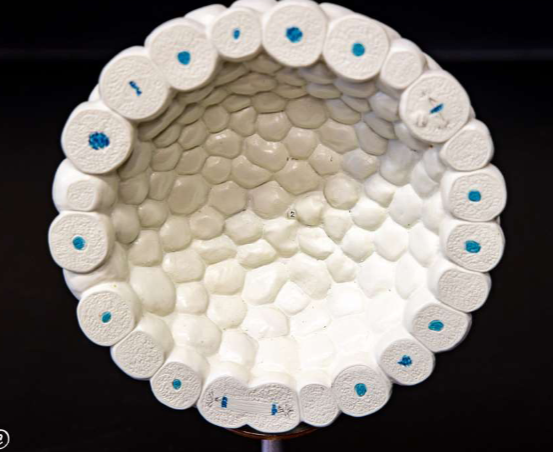 <p>What is this?</p>