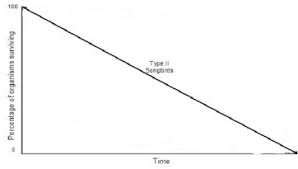 <p>relatively constant, most birds</p>