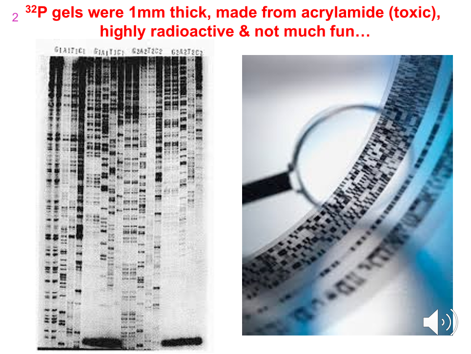 <p>Early 32P sequencing gels were:</p><p>- ~1 mm thick</p><p>- Made from acrylamide</p><p>- Toxic</p><p>- Highly radioactive</p><p>- Laborious and unpleasant to work with</p>