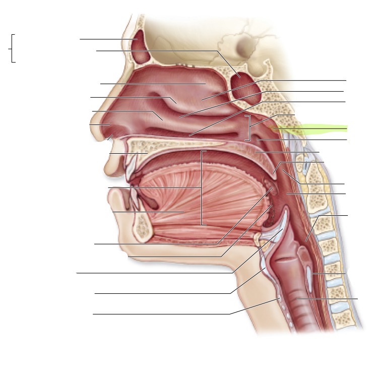 <p>what is this </p>