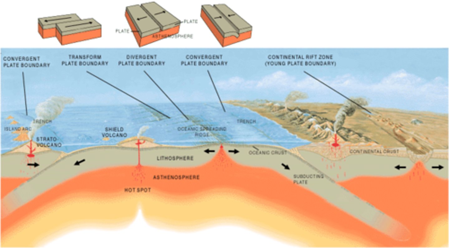 <p>A large section of Earth's crust that slowly moves and can cause earthquakes, volcanoes, and mountain building.</p>