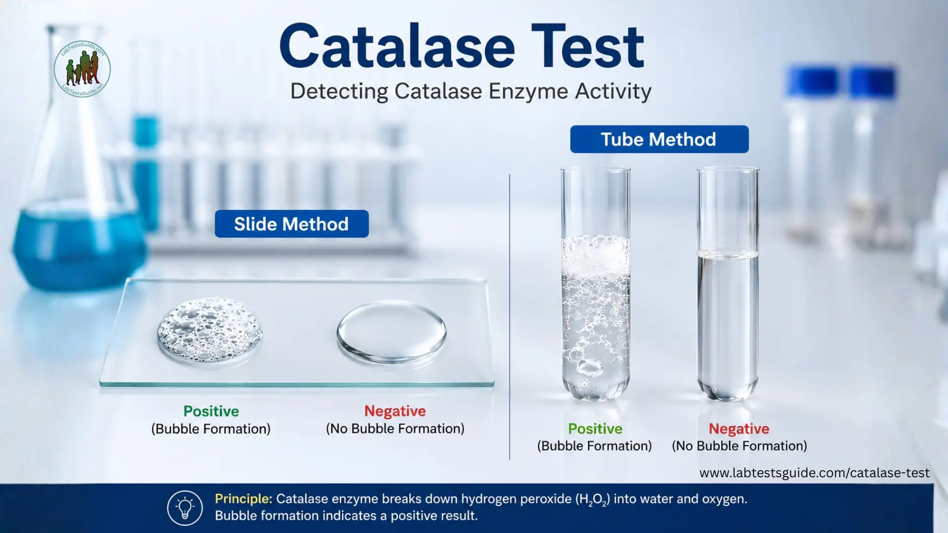 <p>some bacteria have an enzyme that converts to water and oxygen ex:staph, MRSA, strep</p>