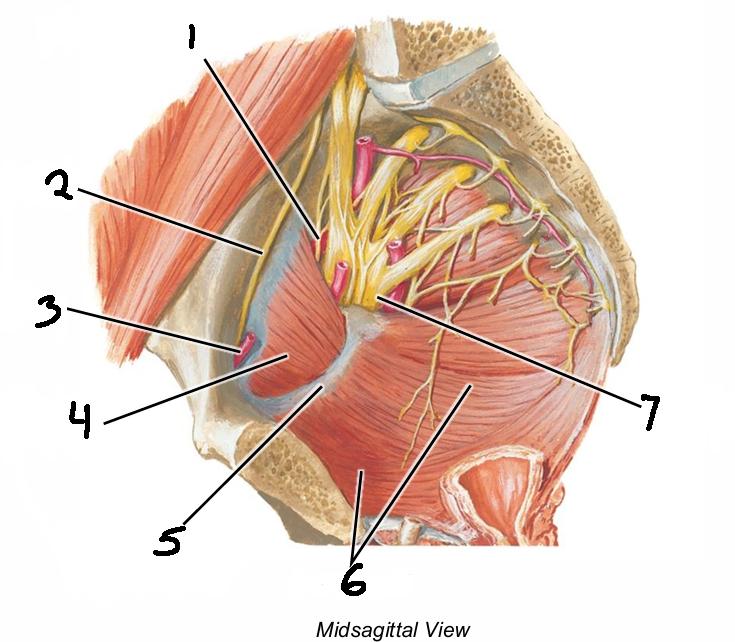 <p>6</p>
