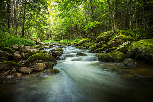 <p>flowing</p>