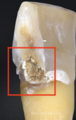 <p>What is the classification?</p>