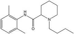 <p>người, vật gây cản trở</p>