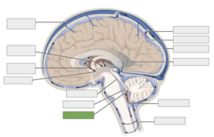 <p>This is the</p>