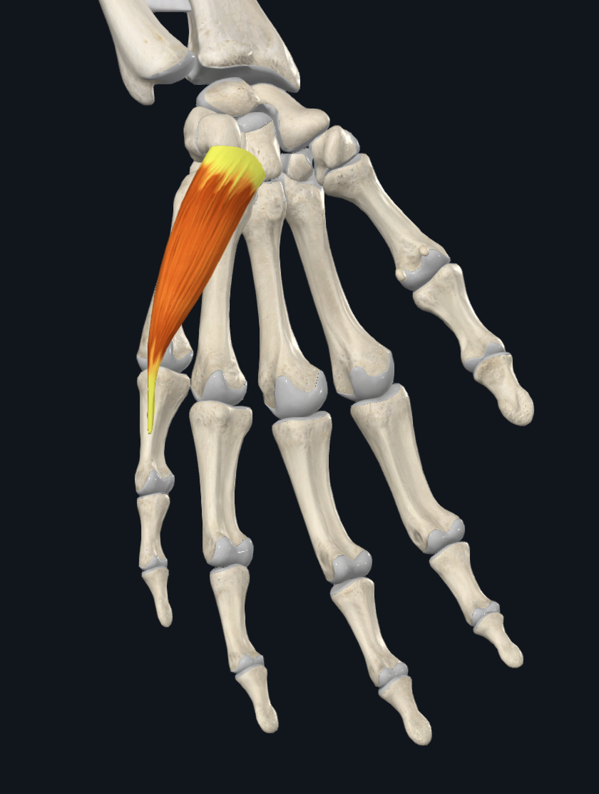 term image