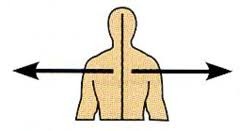 <p>Away from midline/outer</p>