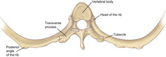 <p>plane joint</p>