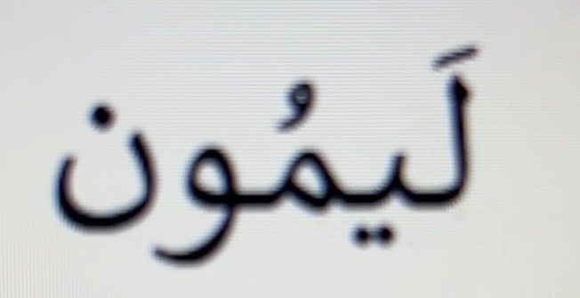 knowt flashcard image