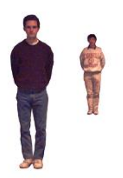 <p>the recognition that an object remains the same size even though the retinal image of the object changes</p>