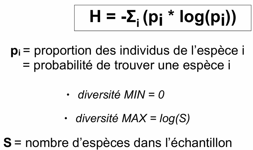 <p>L’indice de Shannon combine la richesse spécifique et l’uniformité des abondances.</p><p>L’indice de Shannon est très utilisé car il est sensible à la fois à la richesse spécifique et à la présence d’espèces rares. Il capture mieux la diversité globale d’une communauté et détecte les variations dans la distribution des espèces rares.</p><p><strong>Interprétation :</strong></p><p>L’indice de Shannon varie généralement entre 0 et environ 3 ou plus dans les communautés très diversifiées.</p><ul><li><p>Une valeur proche de 0 indique qu’une seule espèce domine la communauté.</p></li><li><p>Des valeurs entre 1 et 2 correspondent généralement à une diversité modérée.</p></li><li><p>Des valeurs supérieures à 3 indiquent une diversité élevée et une répartition relativement uniforme des individus entre les espèces.</p></li></ul><p></p>
