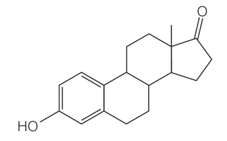 <p>These are lipids with a rigid backbone of 4 carbon rings and no fatty acid tails. Cholesterol and estrogen are examples of these</p>