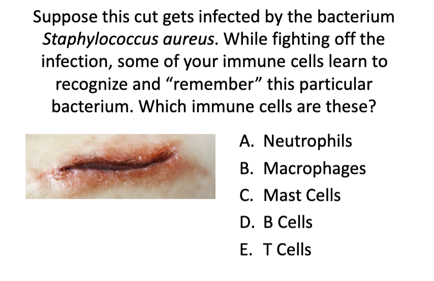 <p>Question</p>