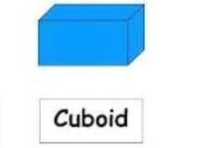 <p>Cuboid</p>