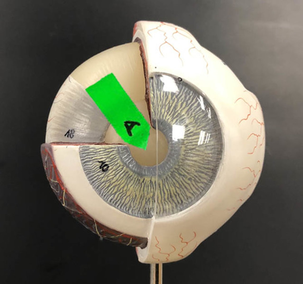 <p>Identify this round opening.</p>