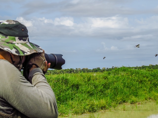 <p>bird watching</p>