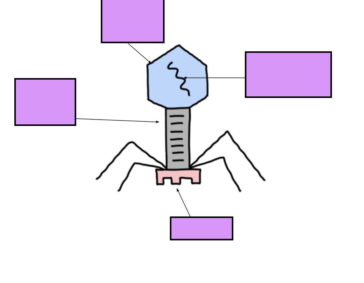 <p>do the labels</p>