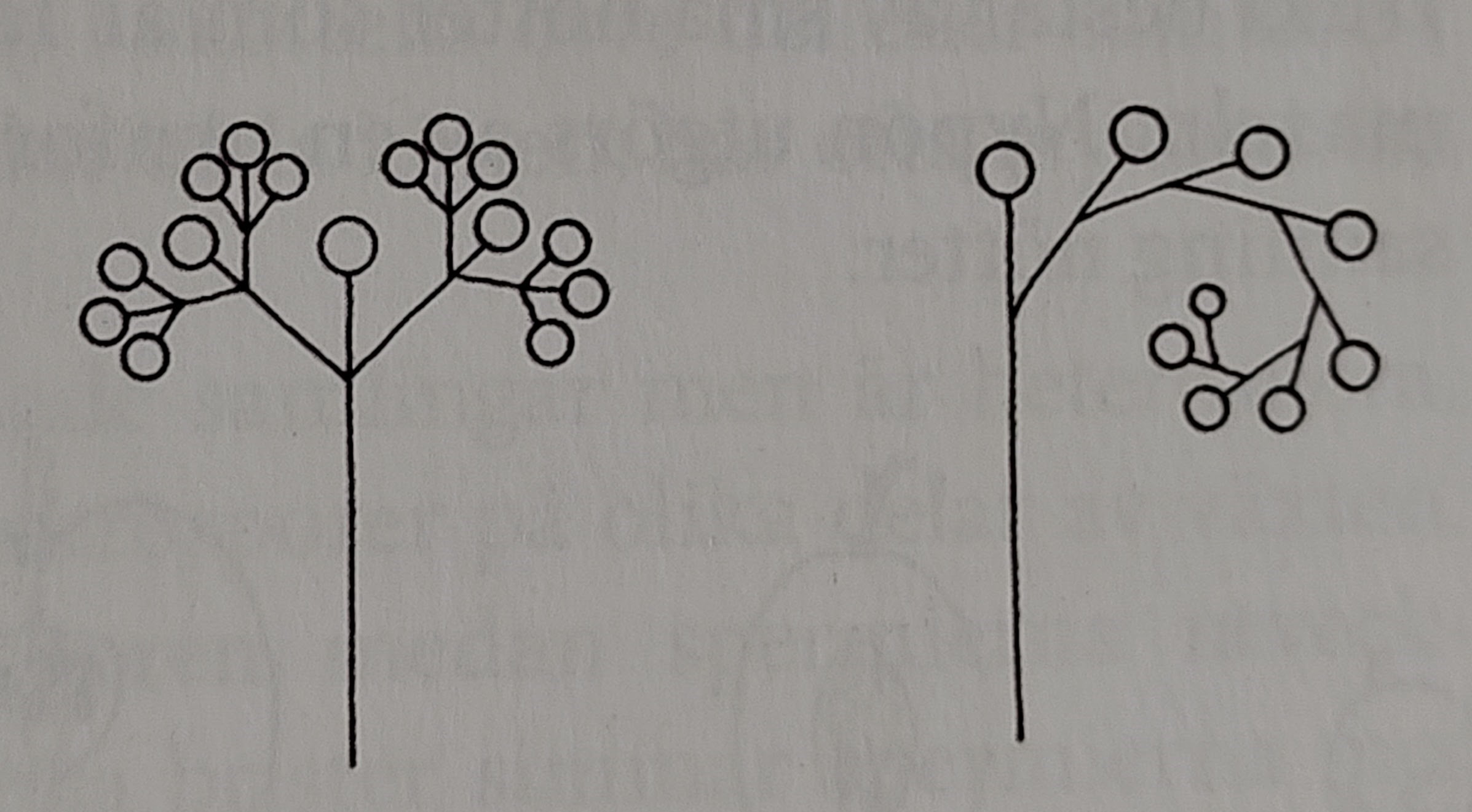 <p></p>