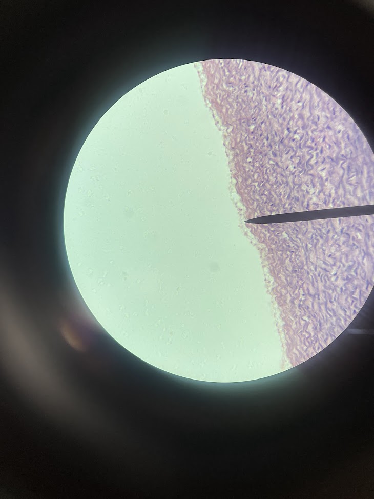 <p>structure name + layer name</p>