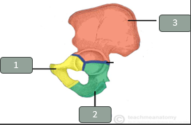 <p>what is 3?</p>