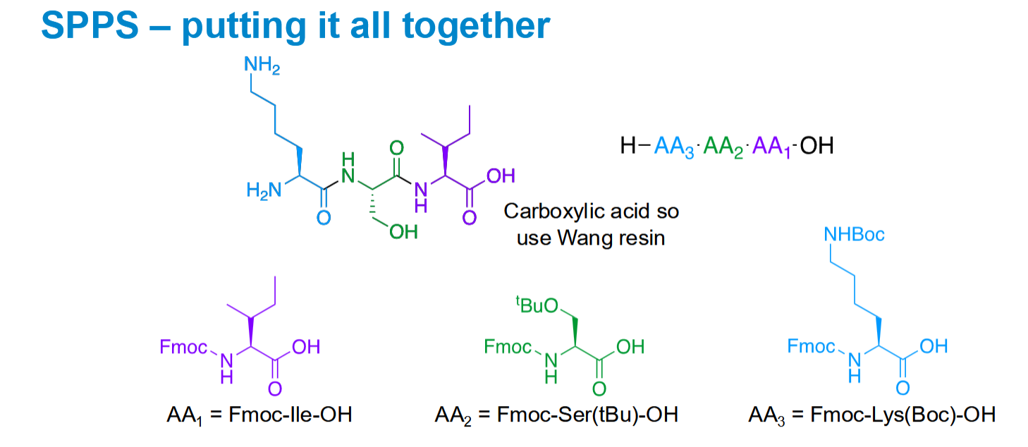 <p>Fmoc is temporary and is used on the terminal N. Boc is permanent and is used on side chain amines.</p>