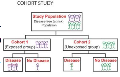 <p>How do blinding and double-blinding reduce bias in an RCT?</p>