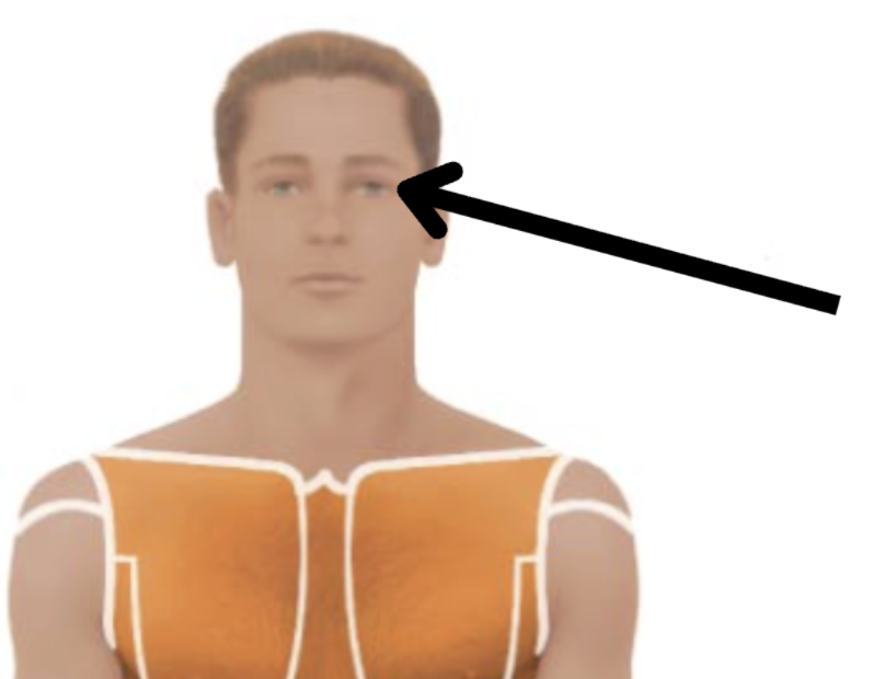 <p>Medical term, region, anteiror/posterior?</p>