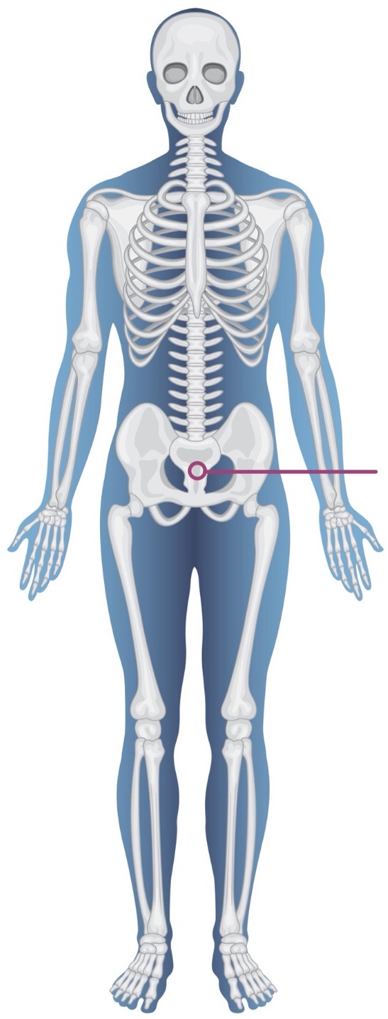 <p><strong>Name of bone + Type of bone</strong></p>